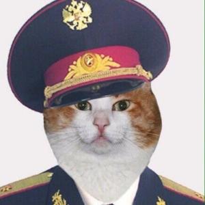 полковник  нахуй