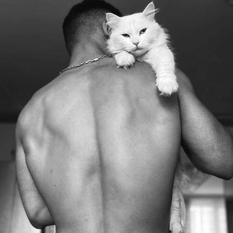 Glotkorezov Licemerov