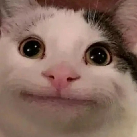 Арсений Тимкин