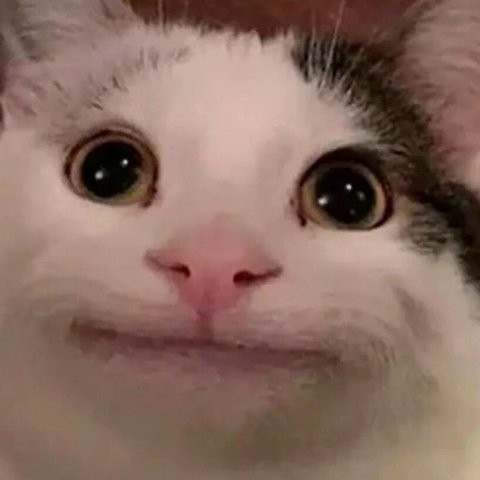 Арсений Тимкин